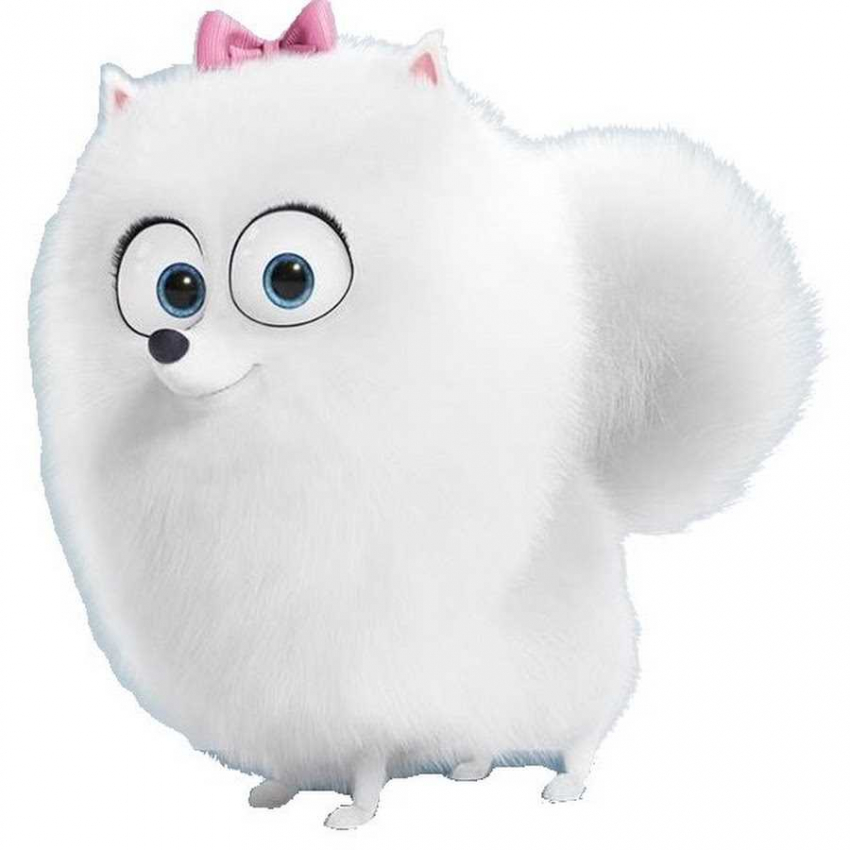 Тайна жизни домашних животных: удивительные факты и секреты