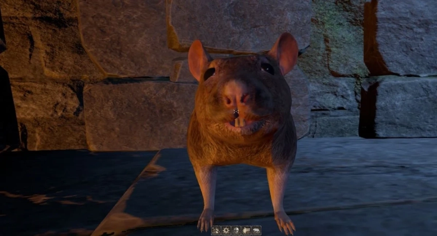 Осенью Epic уберёт Dark and Darker из библиотек игроков